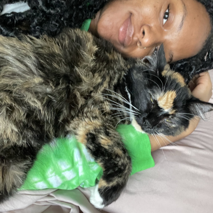 Your Fav Cat Auntie