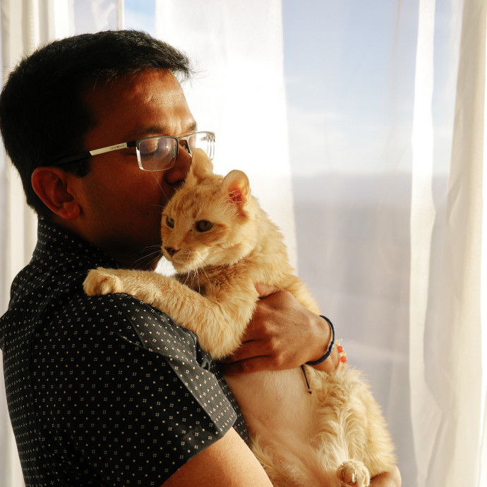 Long-Time Cat Parent And Cat Lover