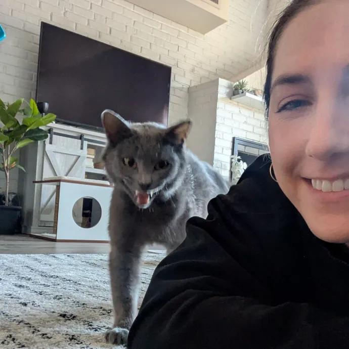 A Pawsitively Purrfect Sitter