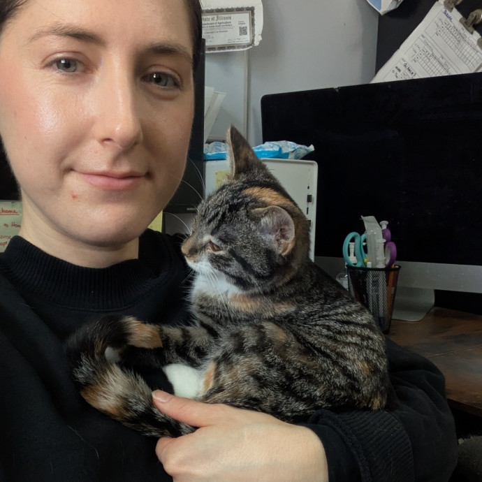 A Pawsitively Purrfect Sitter