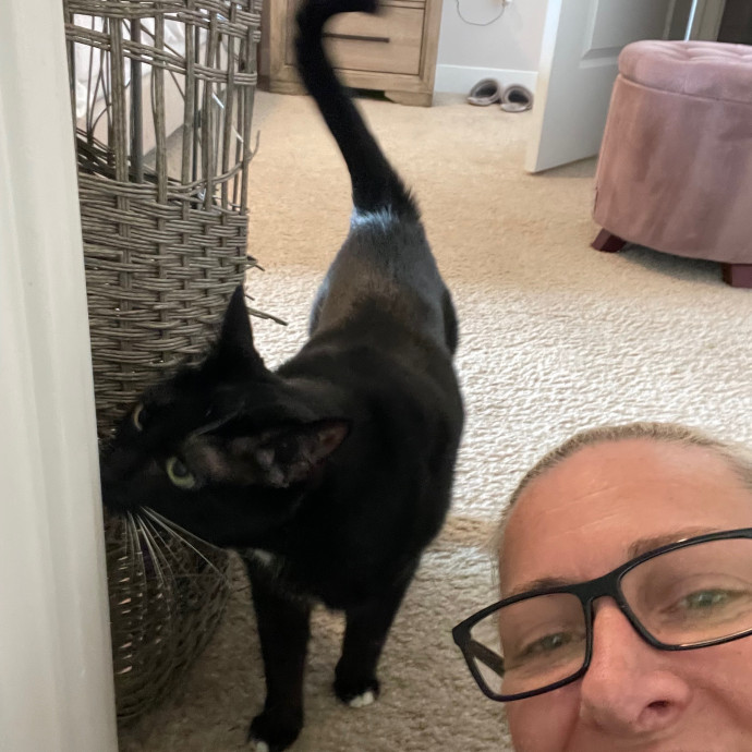 Erika's Awesome Pawsome Cat Sitting