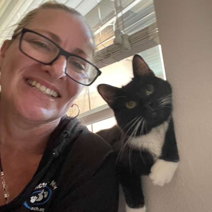 Erika's Awesome Pawsome Cat Sitting