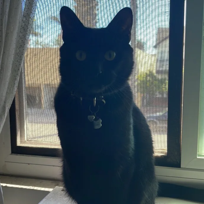 Erika's Awesome Pawsome Cat Sitting