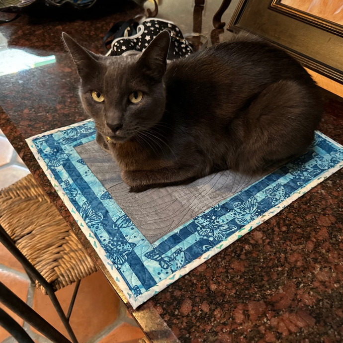 Erika's Awesome Pawsome Cat Sitting