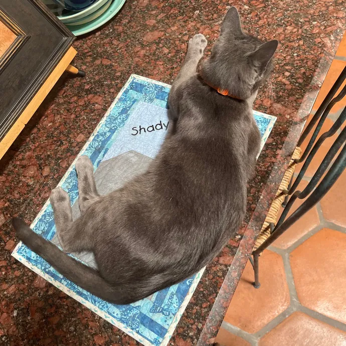 Erika's Awesome Pawsome Cat Sitting