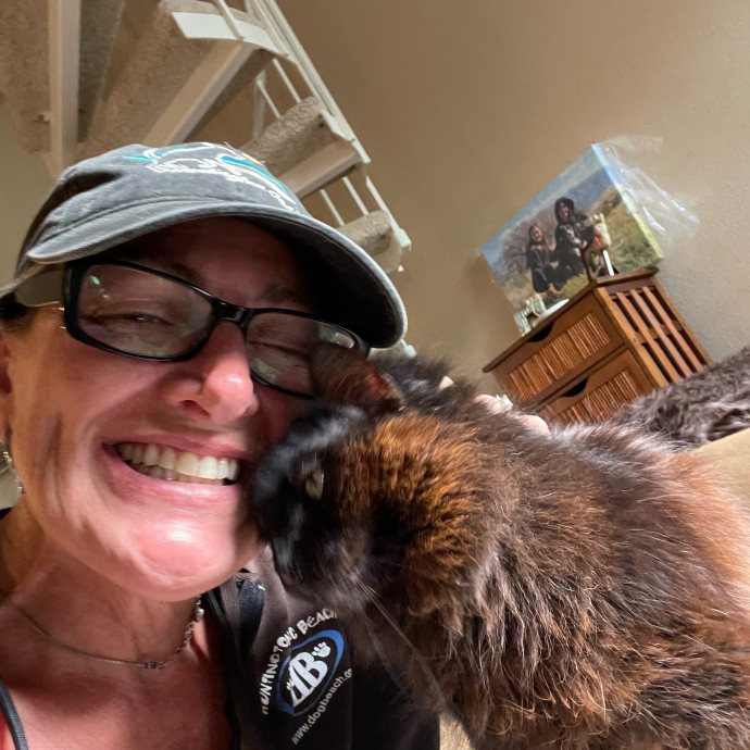 Erika's Awesome Pawsome Cat Sitting