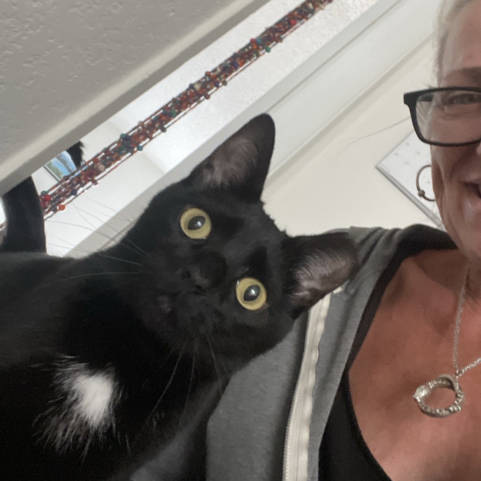 Erika's Awesome Pawsome Cat Sitting