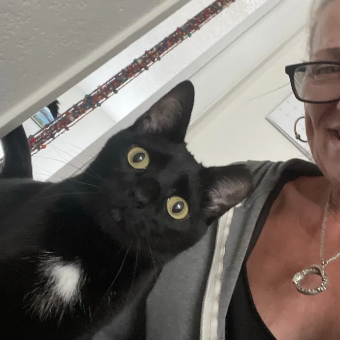 Erika's Awesome Pawsome Cat Sitting