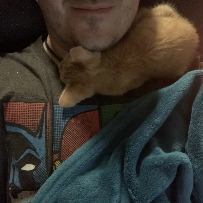 Long Time Cat Fosterer