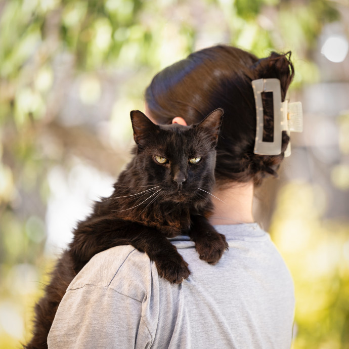 The Cat Nanny