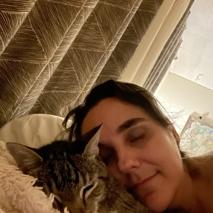 Lorelei's Love For Cats