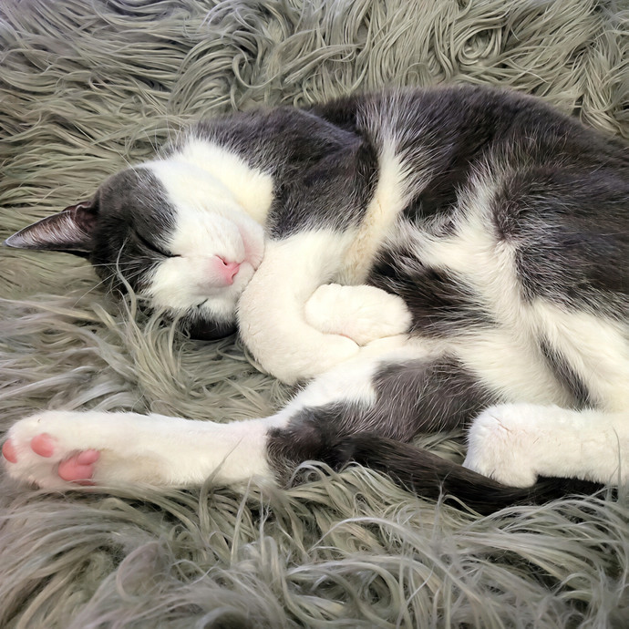 Practically Puuurfect In Every Way photo 3
