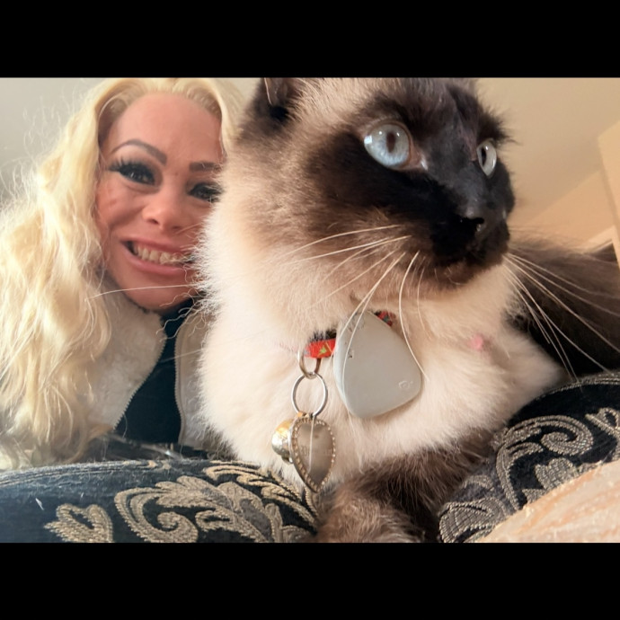 Certified Cat Spoiling Enthusiast