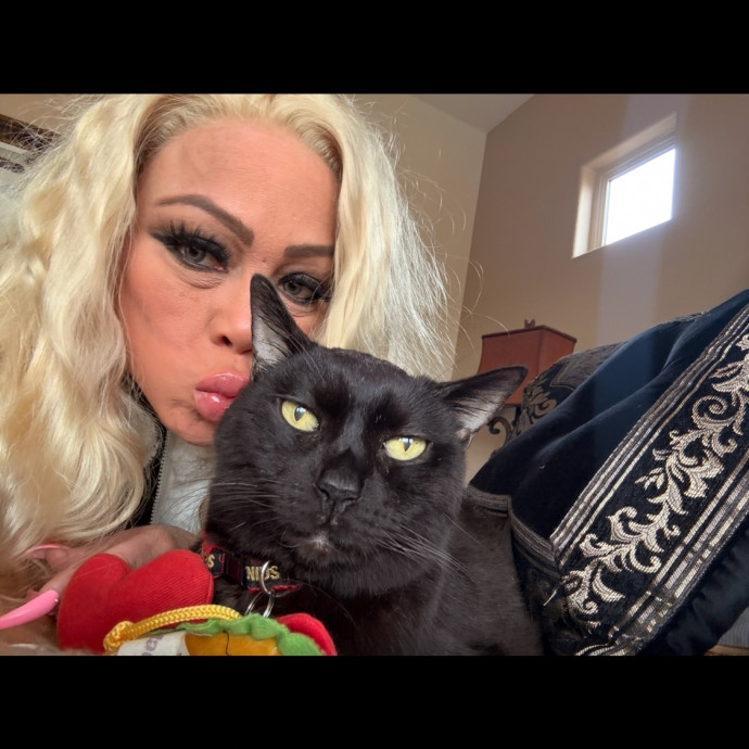 Certified Cat Spoiling Enthusiast