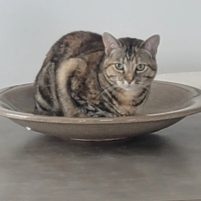 Tammy R.