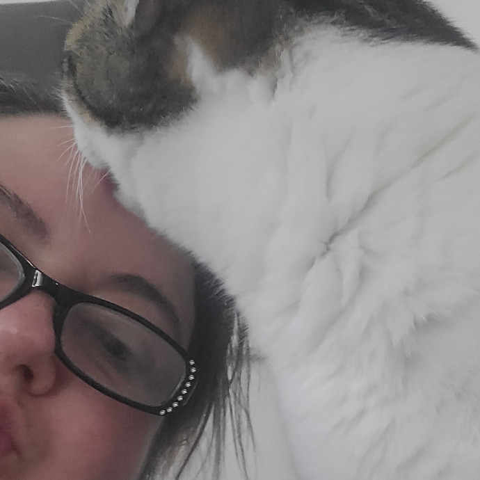 A-List Cat Care And Cat Sitting photo 2