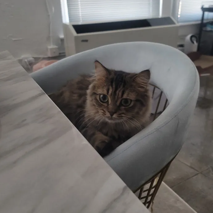Tammy R.