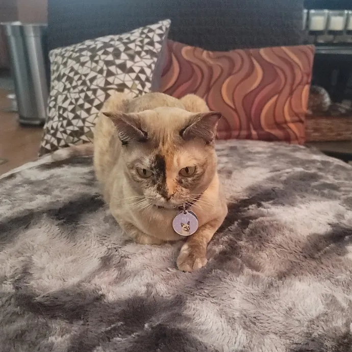 Tammy R.