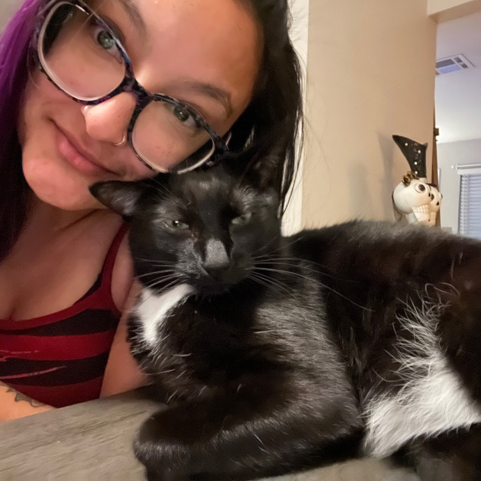 Maegan's Feline Frenzy