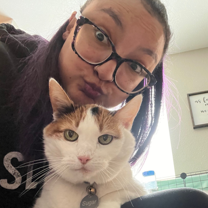 Maegan's Feline Frenzy