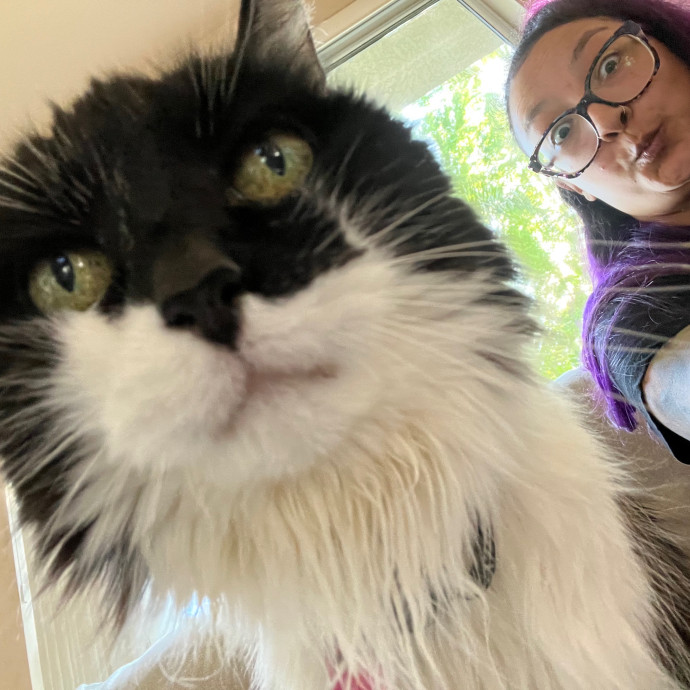 Maegan's Feline Frenzy