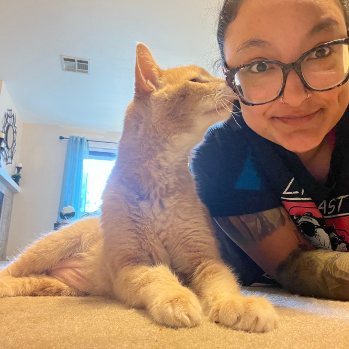 Maegan's Feline Frenzy