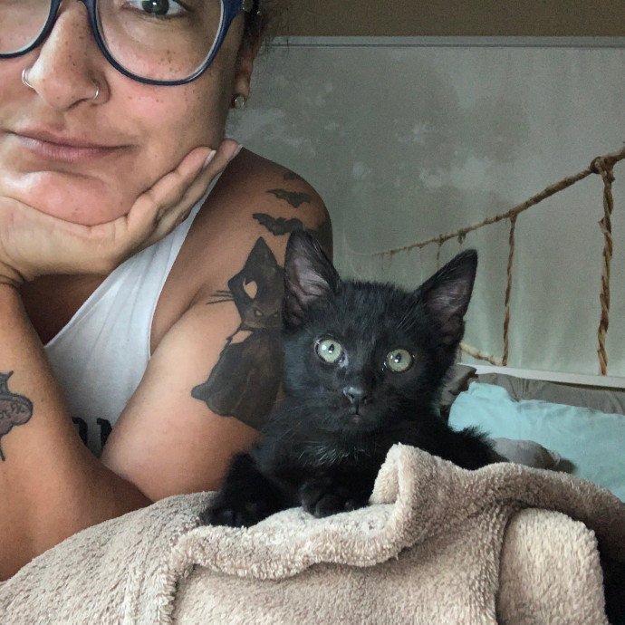 Maegan's Feline Frenzy