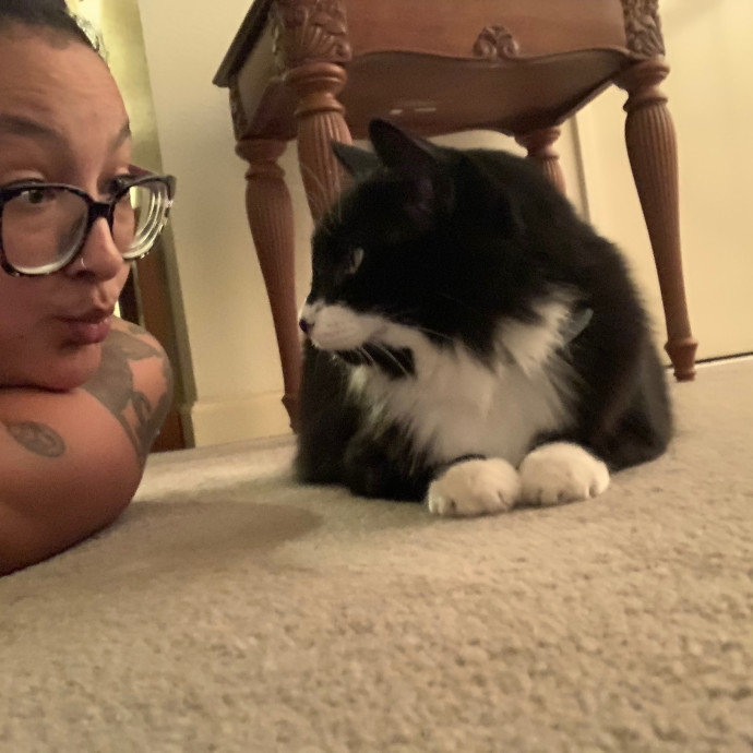 Maegan's Feline Frenzy
