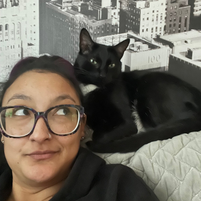 Maegan's Feline Frenzy