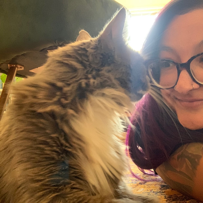 Maegan's Feline Frenzy