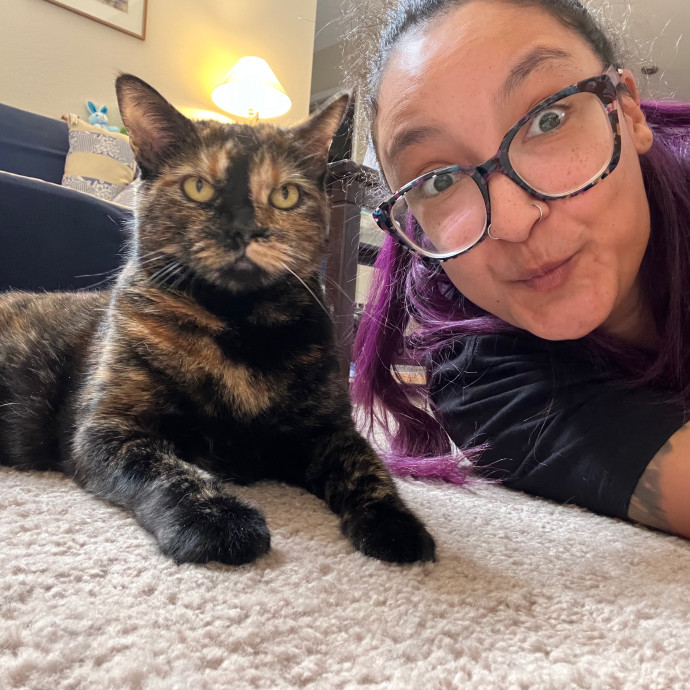 Maegan's Feline Frenzy photo 3
