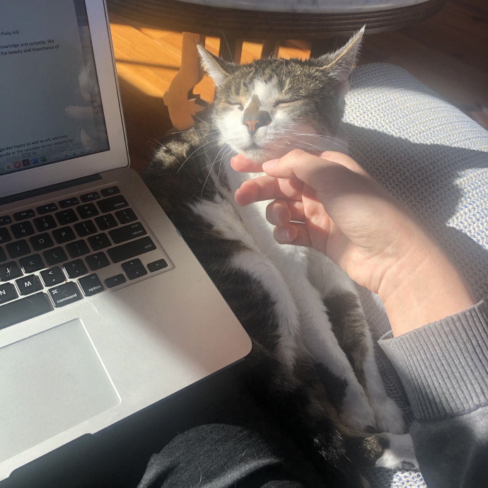 Liz's Personalized Cat Care