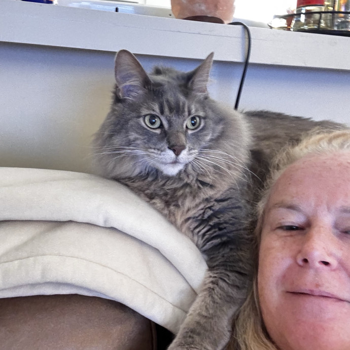 Lorrie's Kitty Kare photo 3