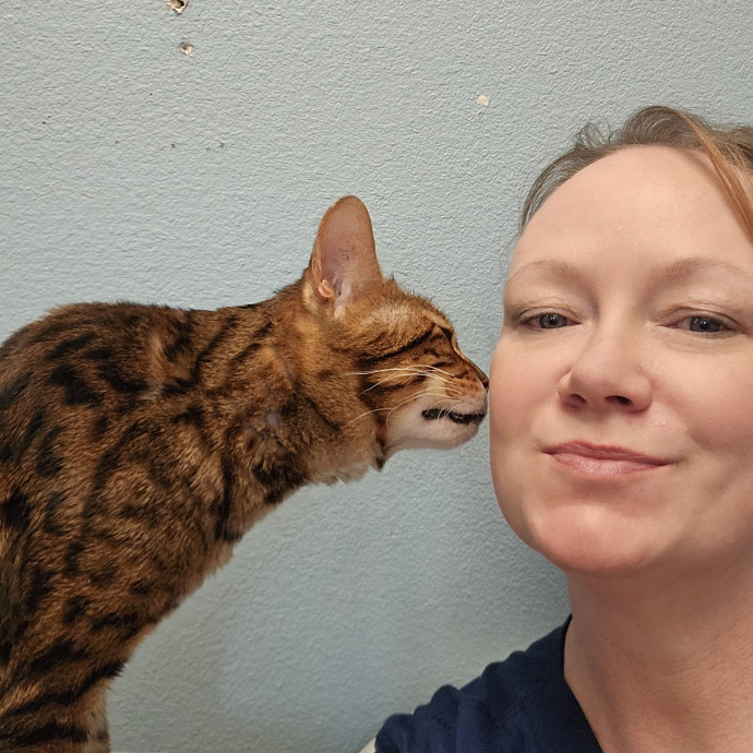 Cat Lover And Veterinarian Nurse photo 3