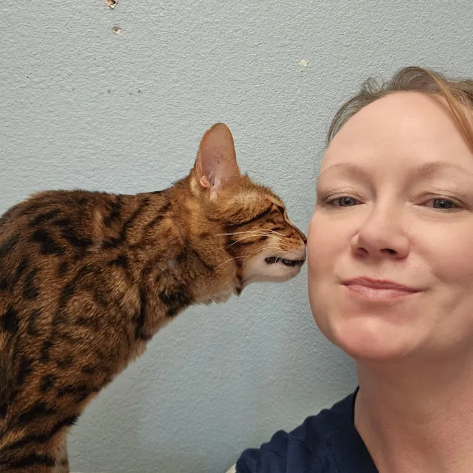 Cat Lover And Veterinarian Nurse photo 3