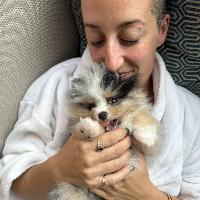 Stress-Free Care For Your Kitties 