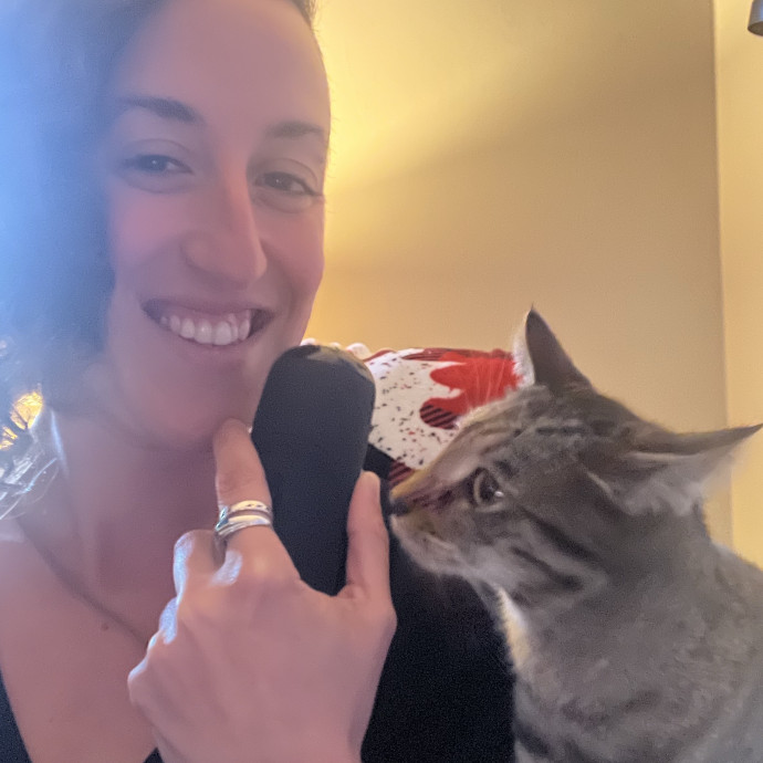 Stress-Free Care For Your Kitties 