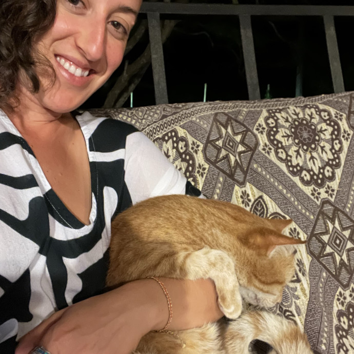 Stress-Free Care For Your Kitties 