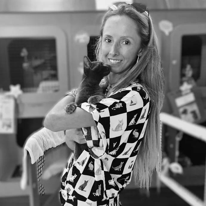 Laura's Meow Play And Nurture Corner