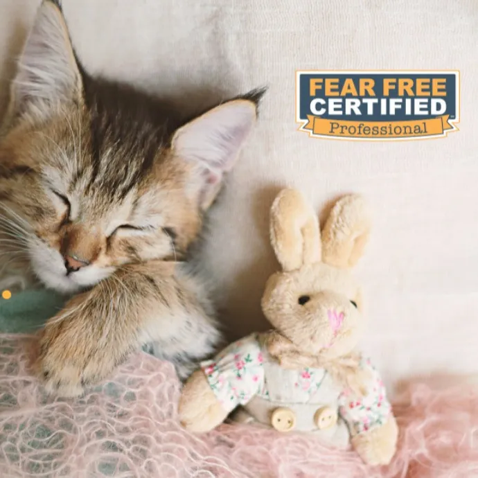 Laura's Meow Play And Nurture Corner