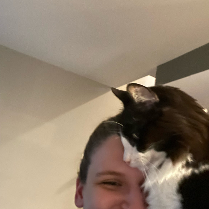 Amelia's Cat-Tastic Cat Sitting