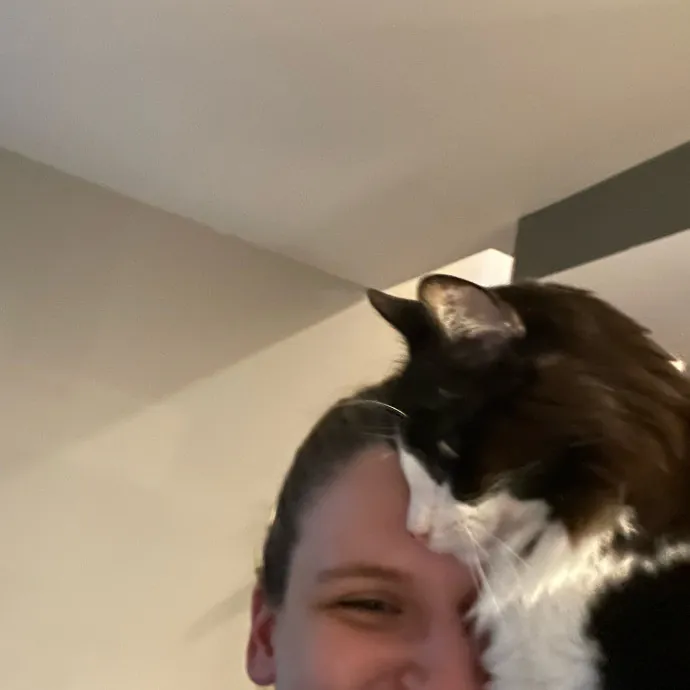 Amelia's Cat-Tastic Cat Sitting