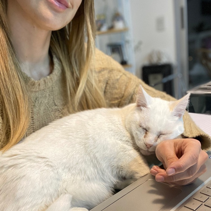 Reliable Cat Sitter Who Truly Loves Cats