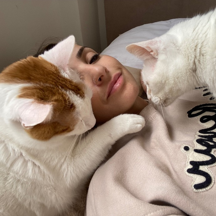 Reliable Cat Sitter Who Truly Loves Cats