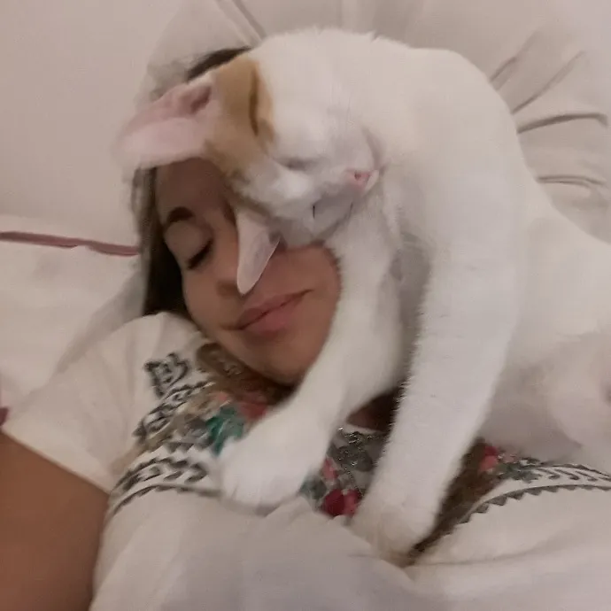 Reliable Cat Sitter Who Truly Loves Cats