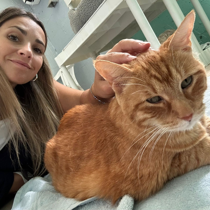 Reliable Cat Sitter Who Truly Loves Cats