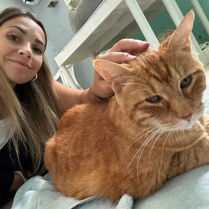 Reliable Cat Sitter Who Truly Loves Cats