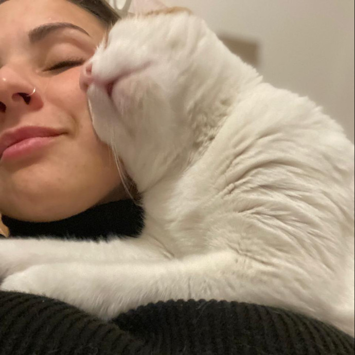 Reliable Cat Sitter Who Truly Loves Cats