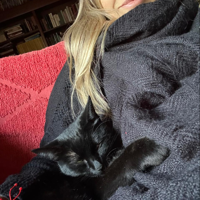 Reliable Cat Sitter Who Truly Loves Cats