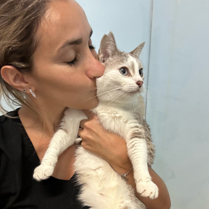 Reliable Cat Sitter Who Truly Loves Cats